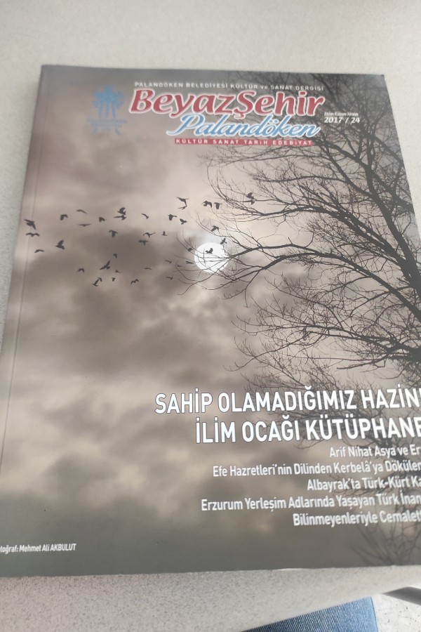 BEYAZ ŞEHIR PALANDÖKEN