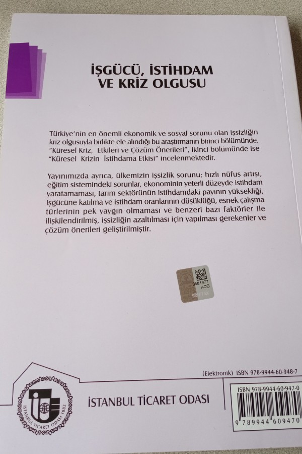 İŞGÜCÜ ISTIHDAM VE KRIZ OLGUSU