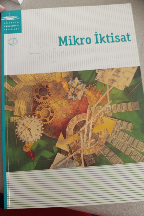MIKRO IKTISAT
