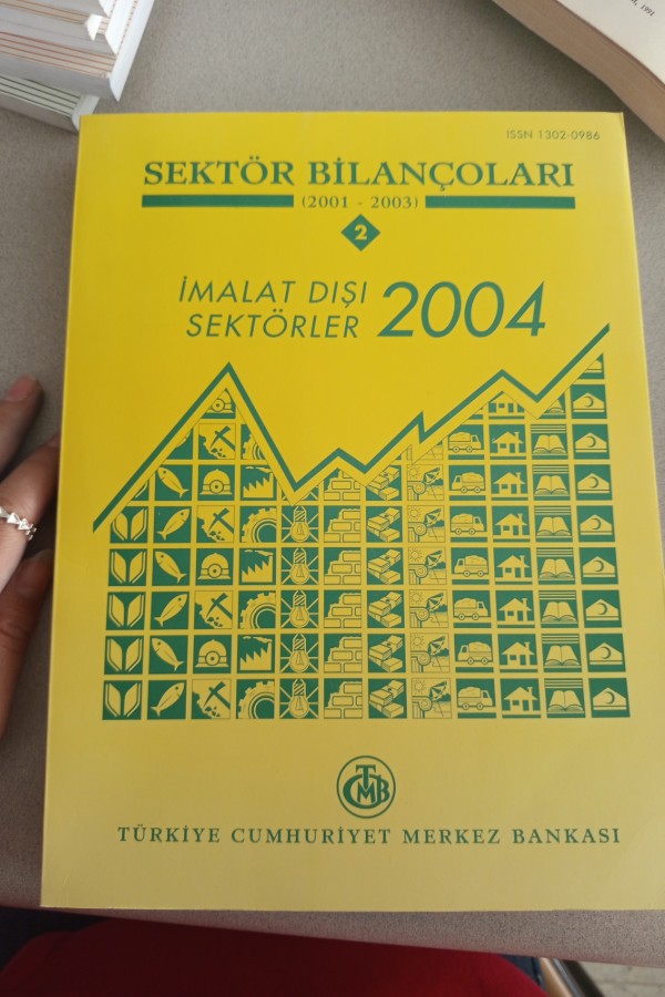 SEKTÖR BILANÇOLARI
