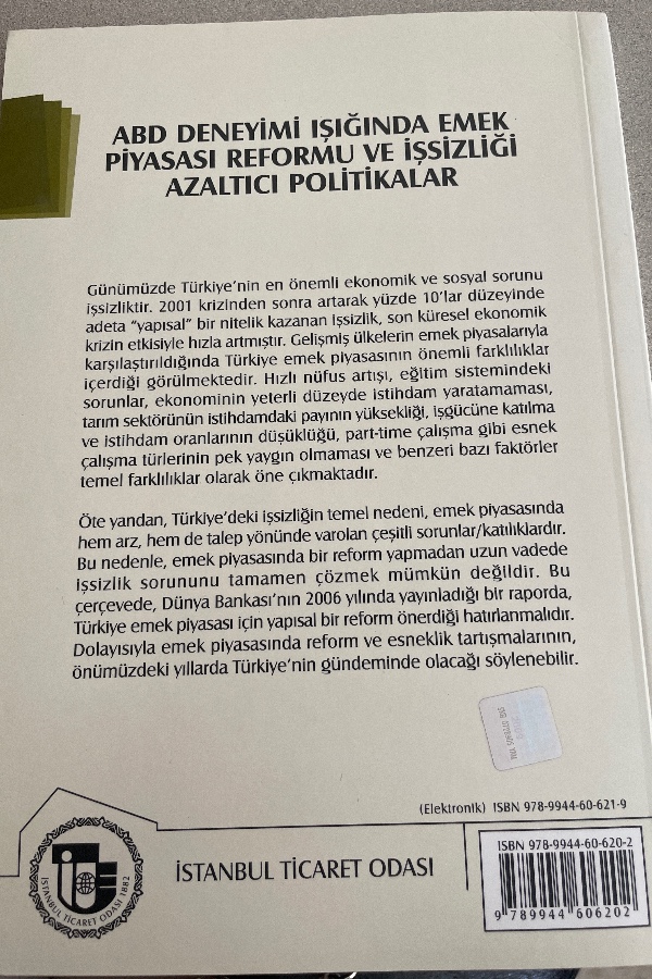 ABD DENEYIMI IŞIĞINDA EMEK PIYASASI REFORMU VE İŞSIZLIĞI AZALTICI POLITIKALAR