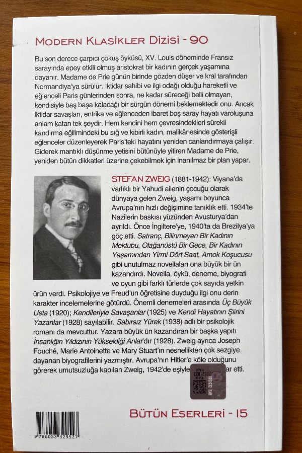 BIR ÇÖKÜŞÜN ÖYKÜSÜ