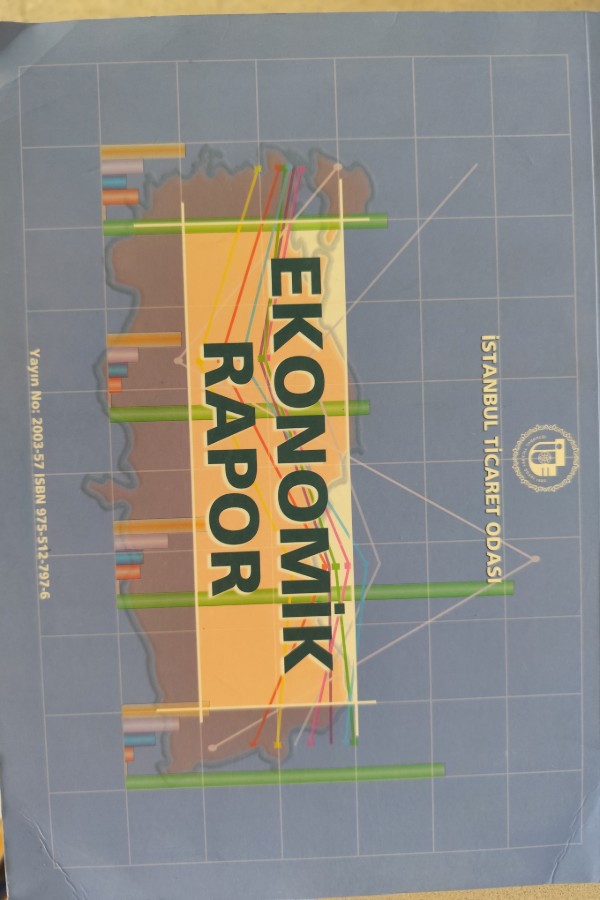 EKONOMIK RAPOR