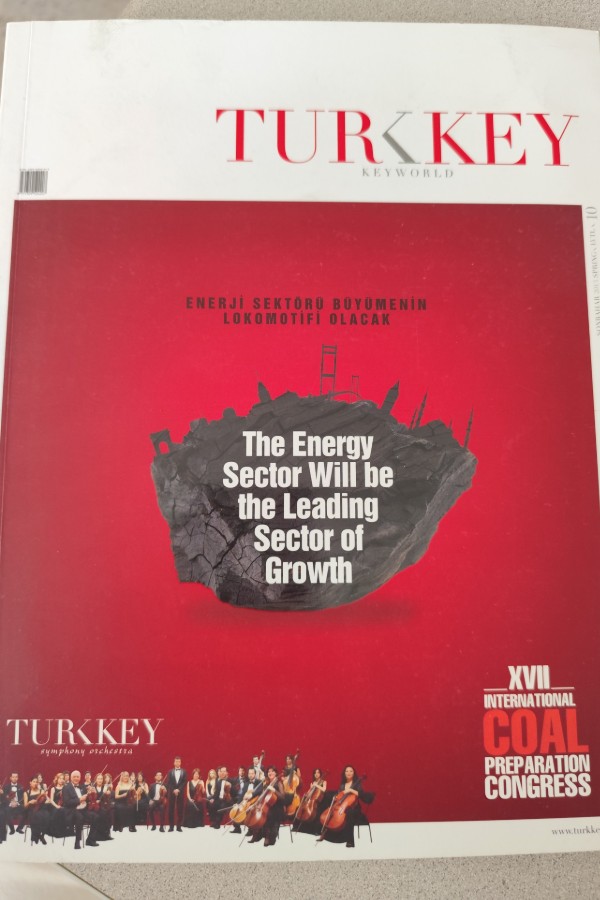 THE ENERGY SECTOR WILL BE THE LEADING SECTOR OF GROWTH