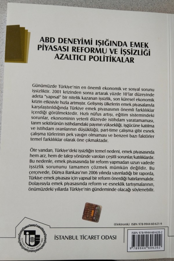 ABD DENEYIMI IŞIĞINDA EMEK PIYASASI REFORMU VE IŞSIZLIĞI AZALTICI POLITIKALAR