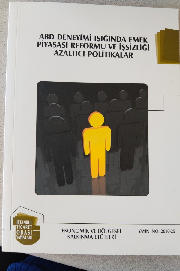 ABD DENEYIMI IŞIĞINDA EMEK PIYASASI REFORMU VE IŞSIZLIĞI AZALTICI POLITIKALAR