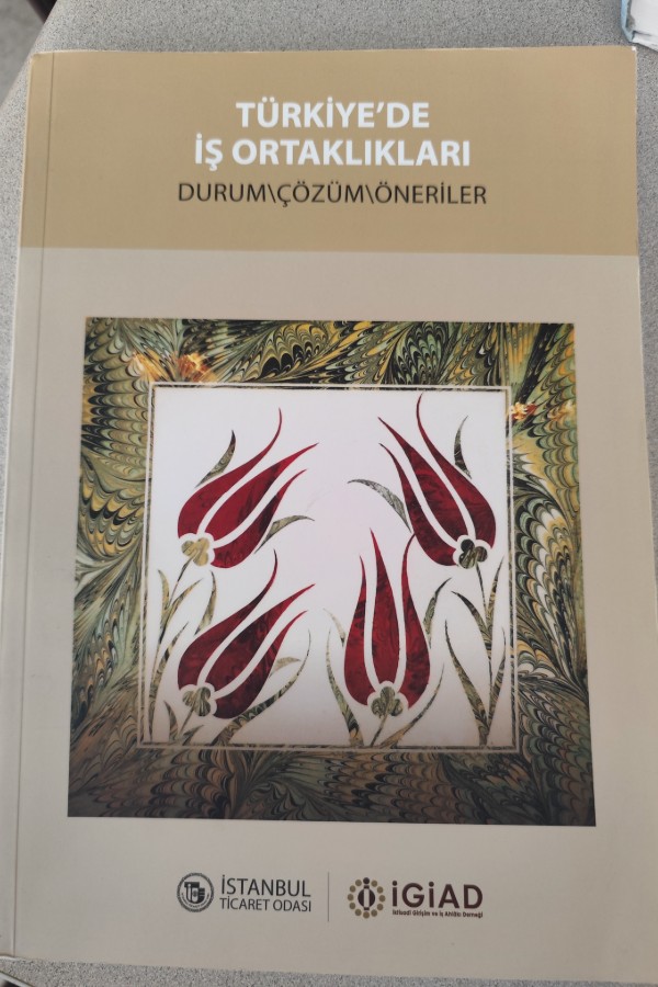TÜRKIYE'DE İŞ ORTAKLIKLARI