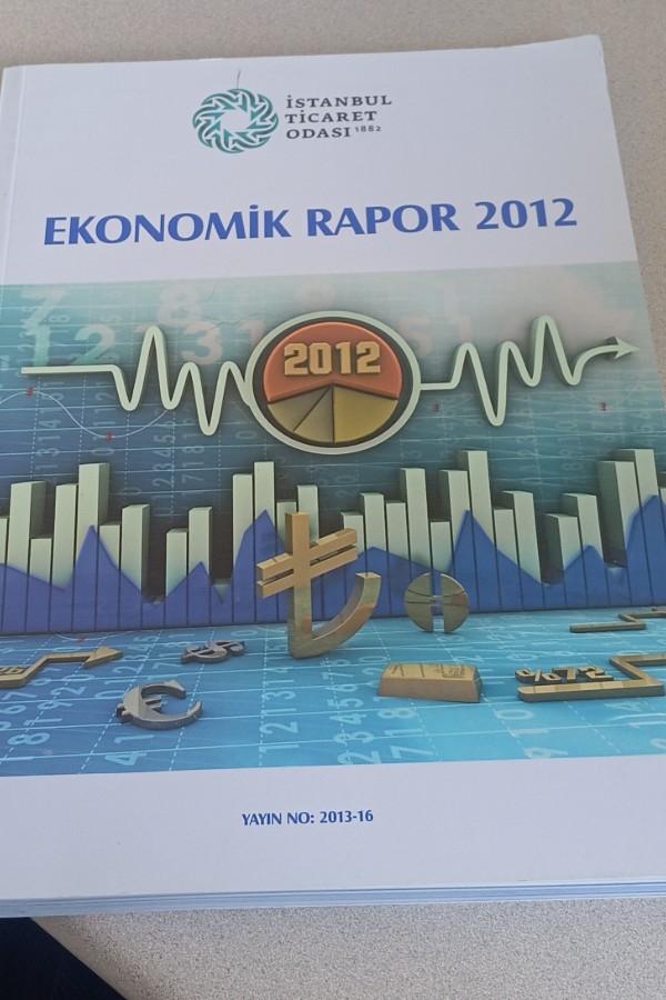 EKONOMIK RAPOR 2012