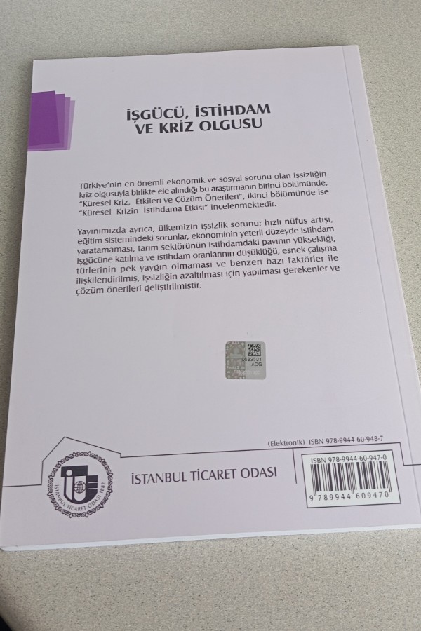 İŞGÜCÜ, İSTIHDAM VE KRIZ OLGUSU
