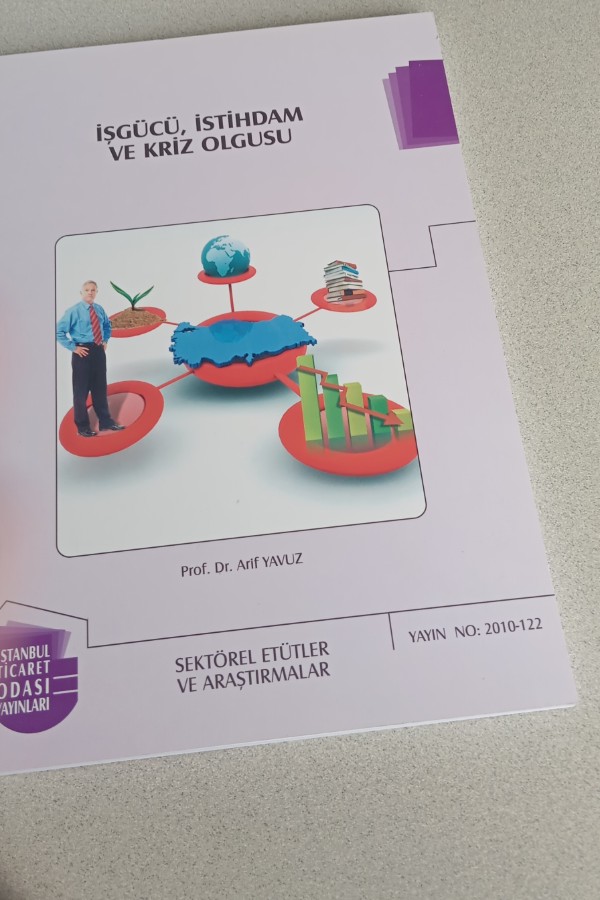 İŞGÜCÜ, İSTIHDAM VE KRIZ OLGUSU