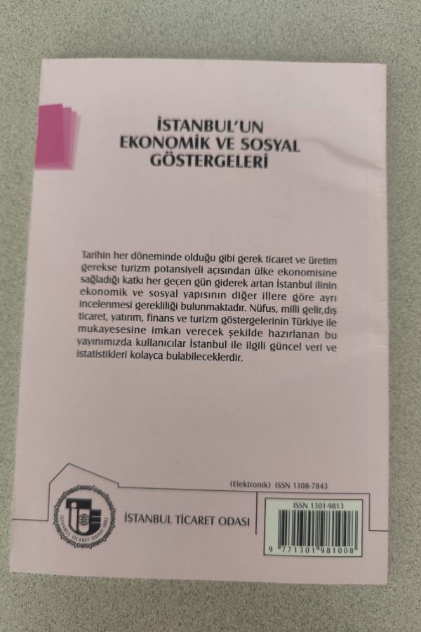 İSTANBUL'UN EKONOMIK VE SOSYAL GÖSTERGELERI