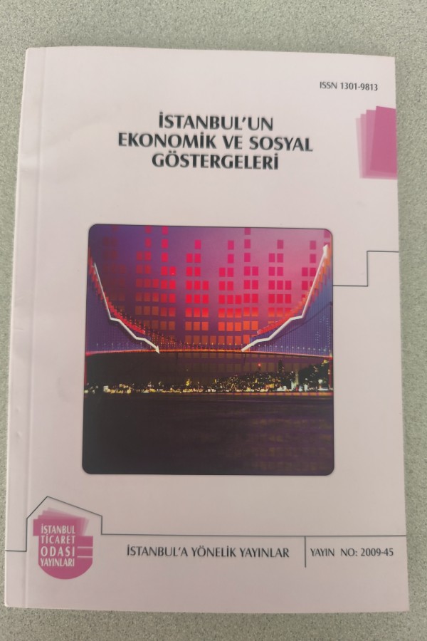 İSTANBUL'UN EKONOMIK VE SOSYAL GÖSTERGELERI