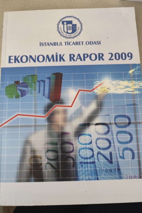 EKONOMIK RAPOR 2009