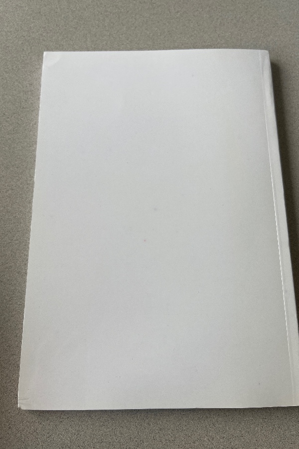 GÜZEL SANATLAR ENSTITÜSÜ DERGISI