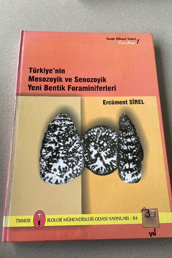 TÜRKIYE’NIN MEZOZOIK VE SENOZOIK YENI BENTIK FORAMINIFERLERI