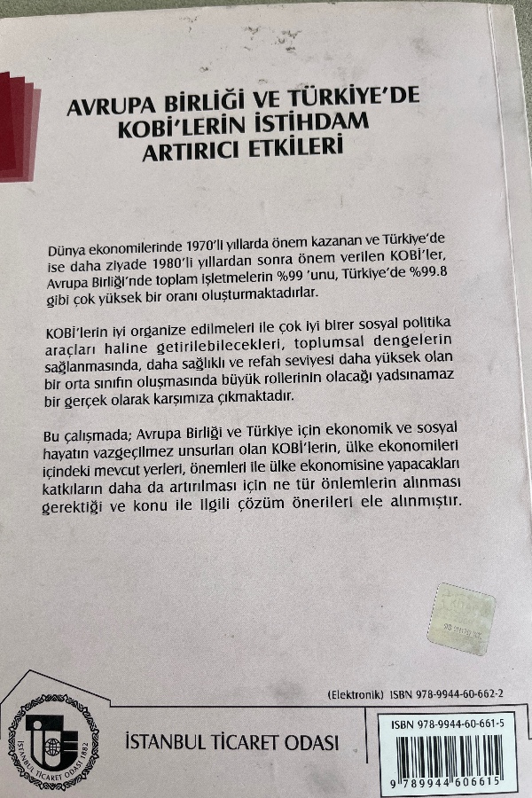 AVRUPA BIRLIĞI VE TÜRKIYE’DE KOBİ’LERIN ISTIHDAM ARTTIRICI ETKILERI