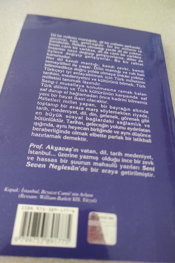 SENI SEVEN NEYLESÜN