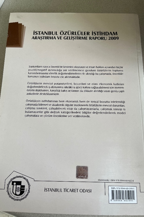 İSTANBUL ÖZÜRLÜLER ISTIHDAM ARAŞTIRMA VE GELIŞTIRME RAPORU