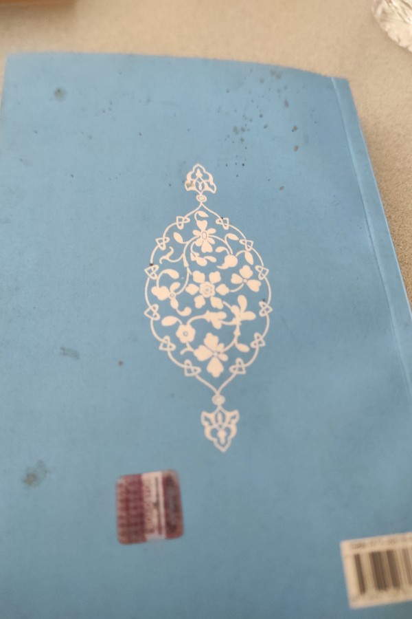 TÜRK DÜNYASI EVLIYALARI