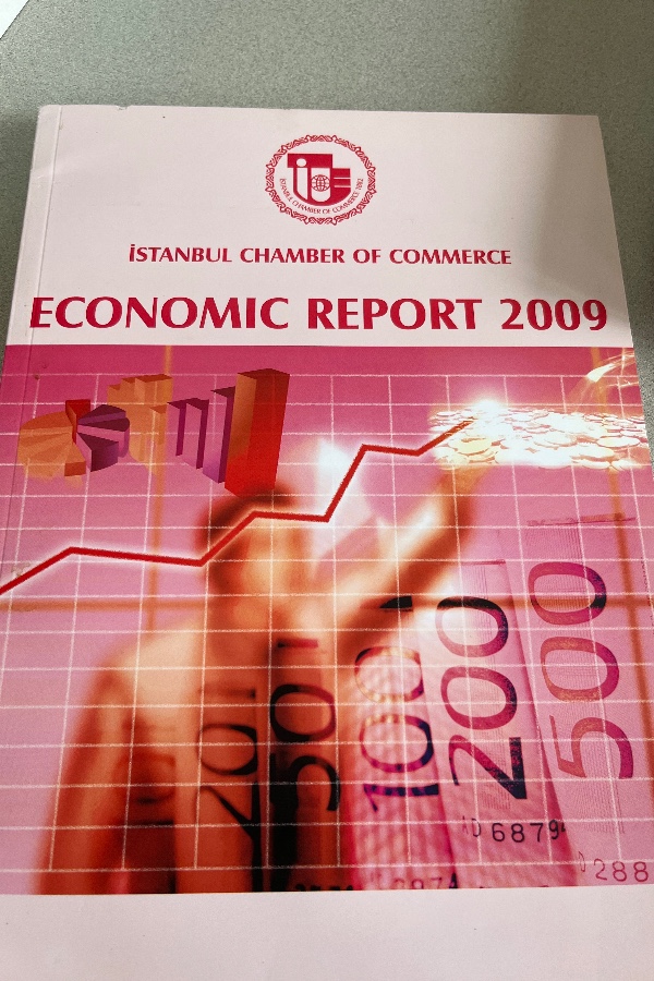 EKONOMIK REPORT 2009