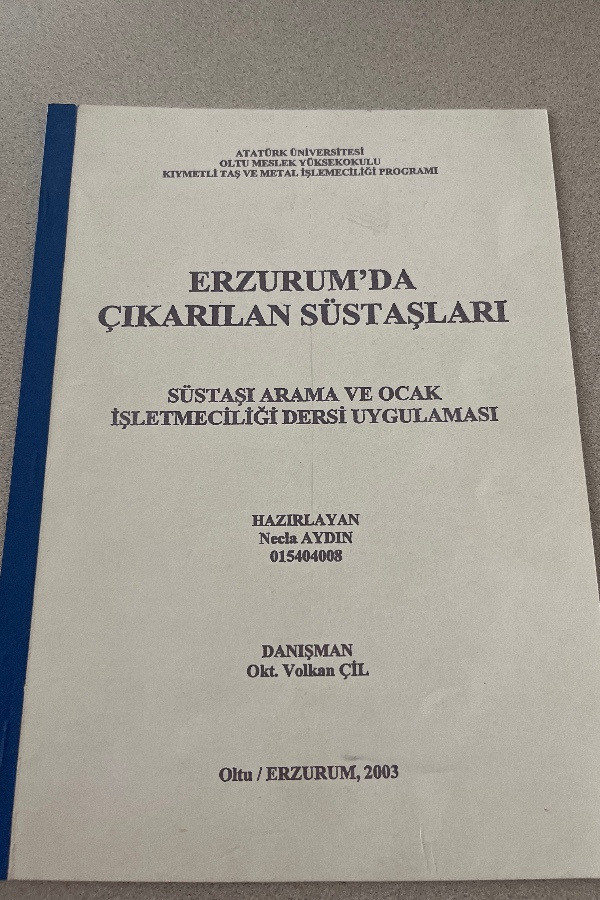 ERZURUM’DA ÇIKARILAN SÜS TAŞLARI