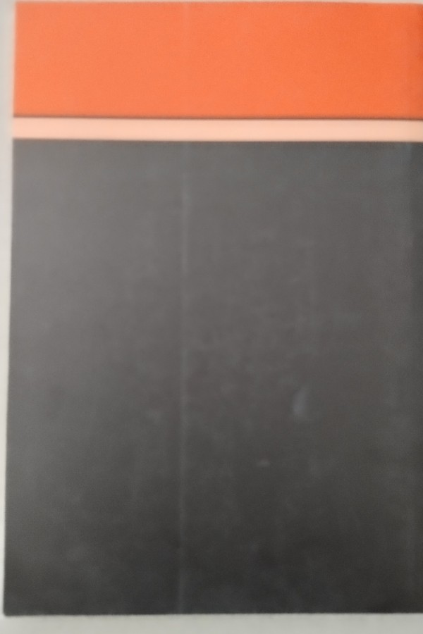 GÜZEL SANATLAR ENSTITÜSÜ DERGISI