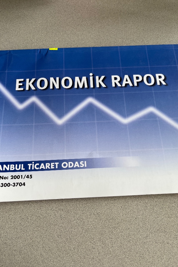 EKONOMIK RAPOR