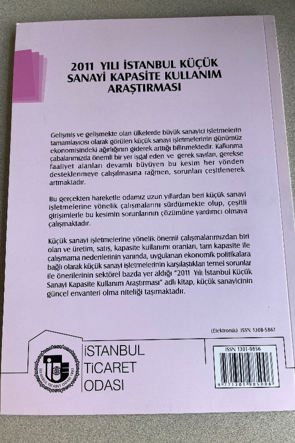 2001 YILI İSTANBUL KÜÇÜK SANAYI KAPASITE KULLANIM ARAŞTIRMASI
