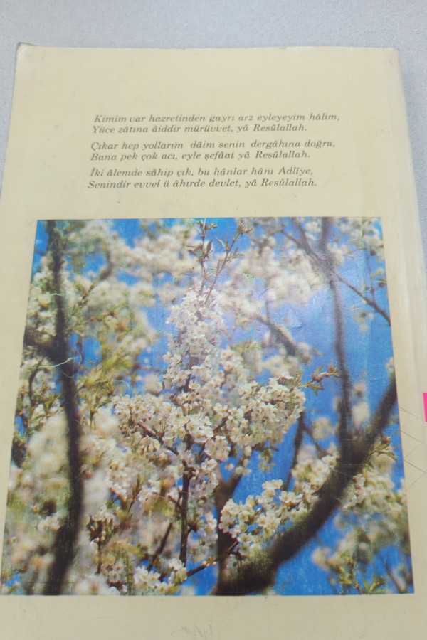 PEYGAMBERLER TARIHI ANSIKLOPEDISI