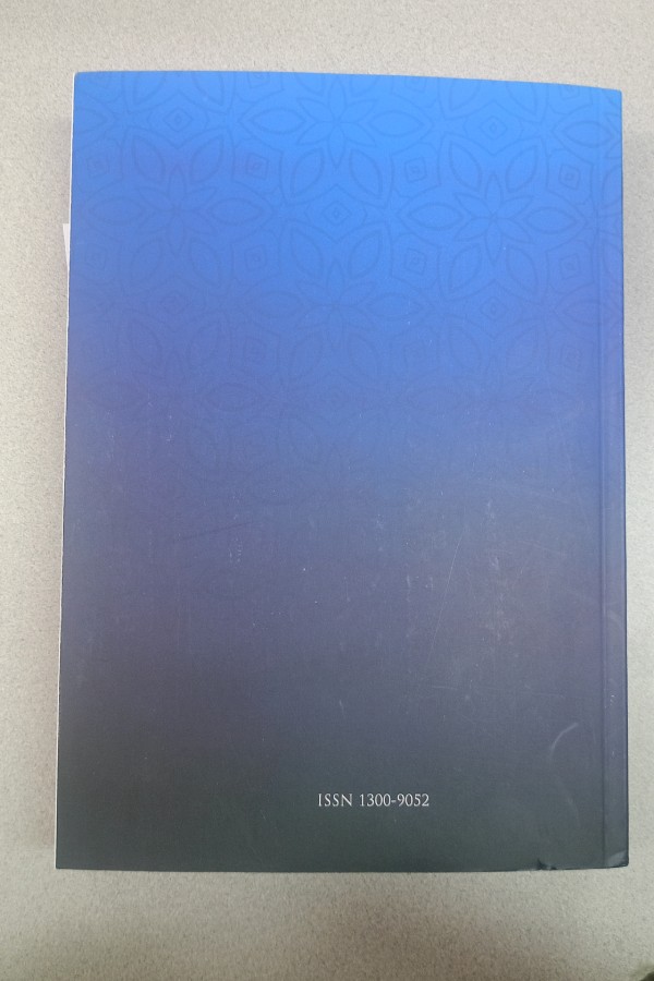 TÜRKIYE'DE ARAŞTIRMALARI ENSTITÜSÜ DERGISI