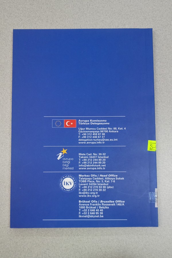 AB TAM ÜYELIĞININ TÜRKIYE VATANDAŞINA SAĞLAYACAĞI FAYDALAR