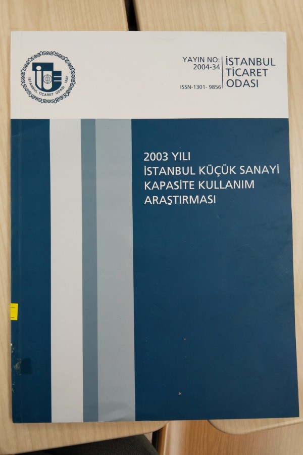 2003 İSTANBUL KÜÇÜK SANAYI KAPASITE KULLANIMI ARAŞTIRMASI
