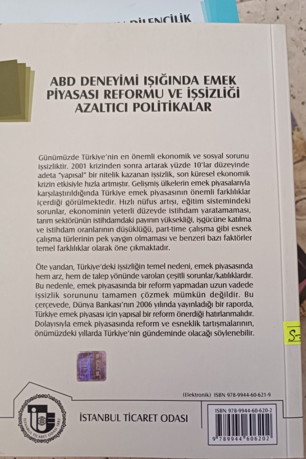 ABD DENEYIMI IŞIĞINDA EMEK PIYASASI REFORMU VE IŞSIZLIĞI AZALTICI POLITIKALAR