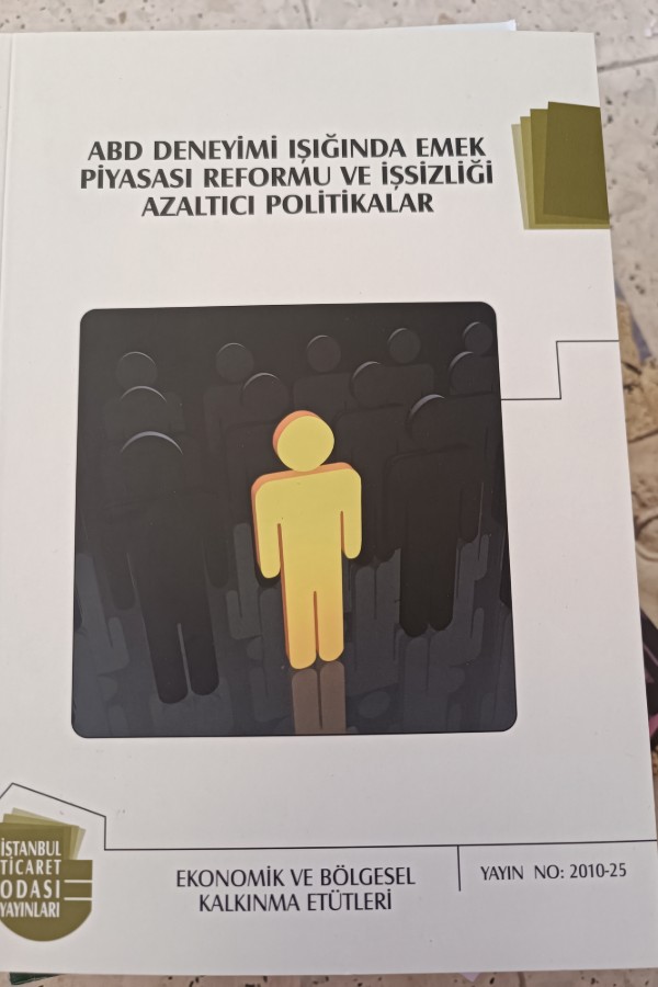 ABD DENEYIMI IŞIĞINDA EMEK PIYASASI REFORMU VE IŞSIZLIĞI AZALTICI POLITIKALAR