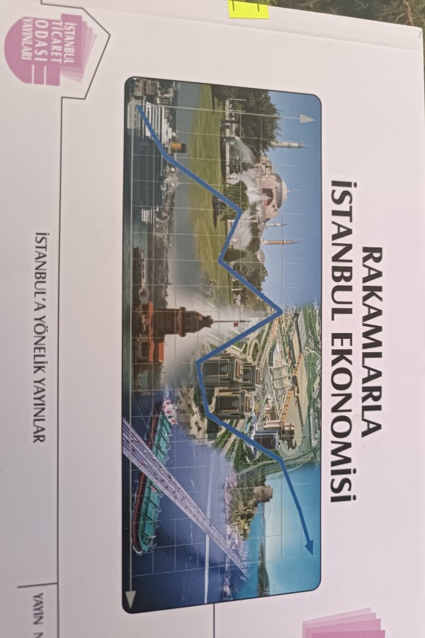 RAKAMLARLA TÜRKIYE EKONOMISI