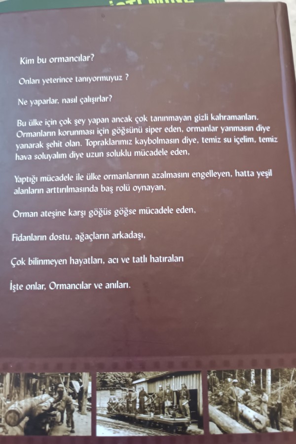 ORMANCILAR ANILARINI YAZIYOR