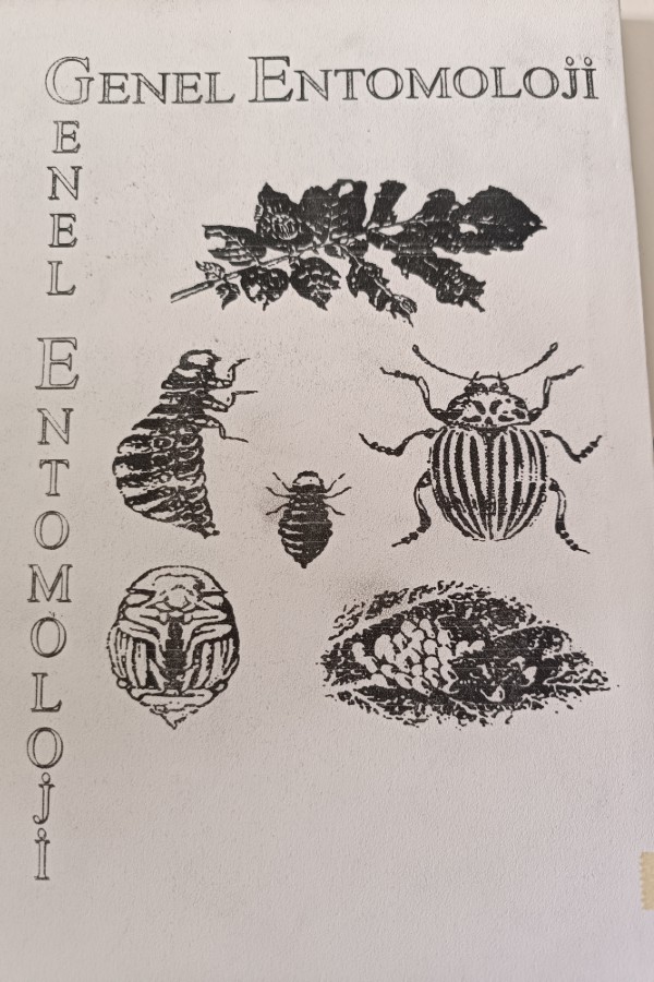 GENEL ENTOMOLOJI