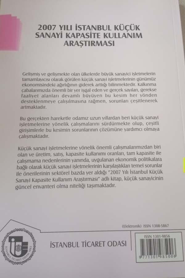 2007 YILI İSTANBUL KÜÇÜK SANAYI KAPASITE KULLANIM ARAŞTIRMASI