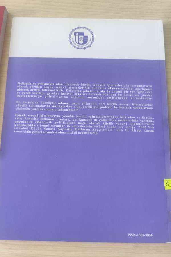 2005 YILI İSTANBUL KÜÇÜK SANAYI KAPASITE KULLANIM ARAŞTIRMASI