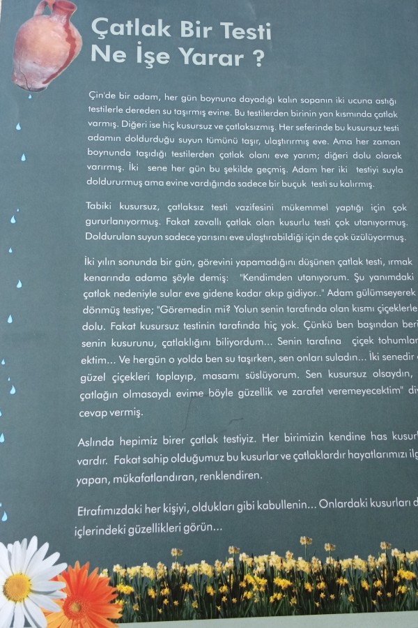 EĞITIMDE BAKIŞ (SAYI11)