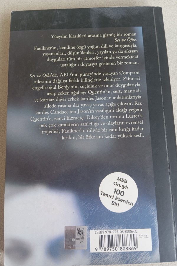 SES VE ÖFKE