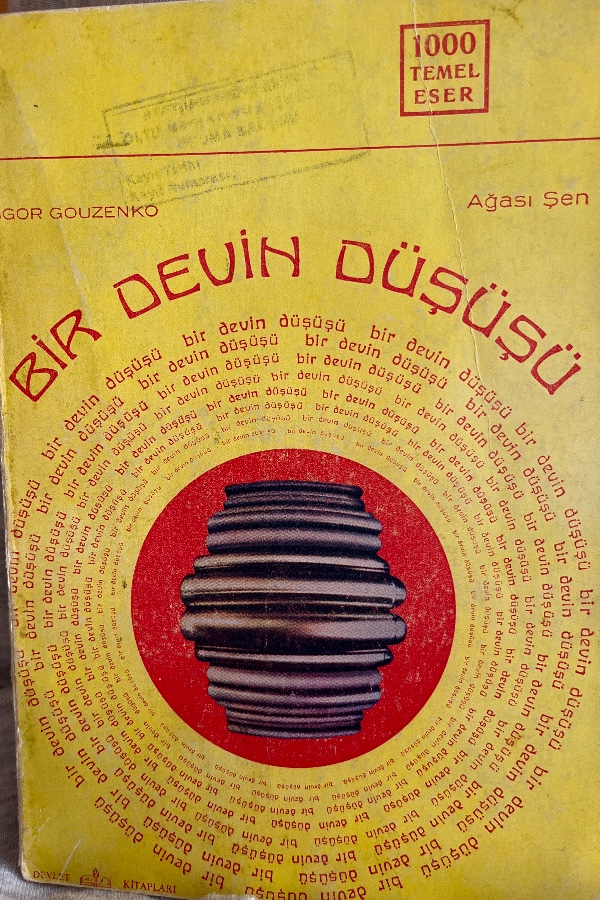 BIR DEVIN DÜŞÜŞÜ