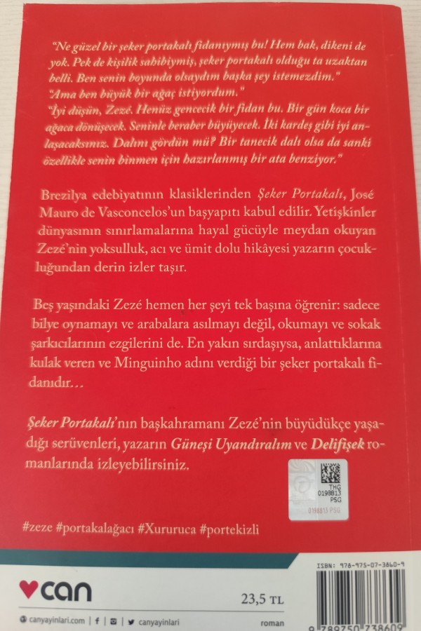 ŞEKER PORTAKALI