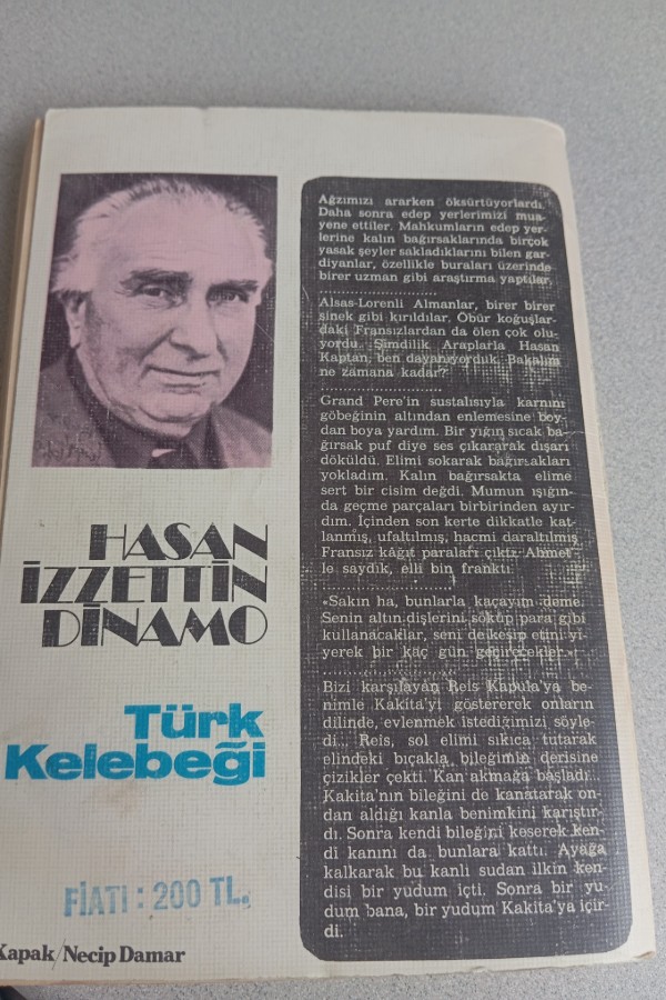 TÜRK KELEBEĞI
