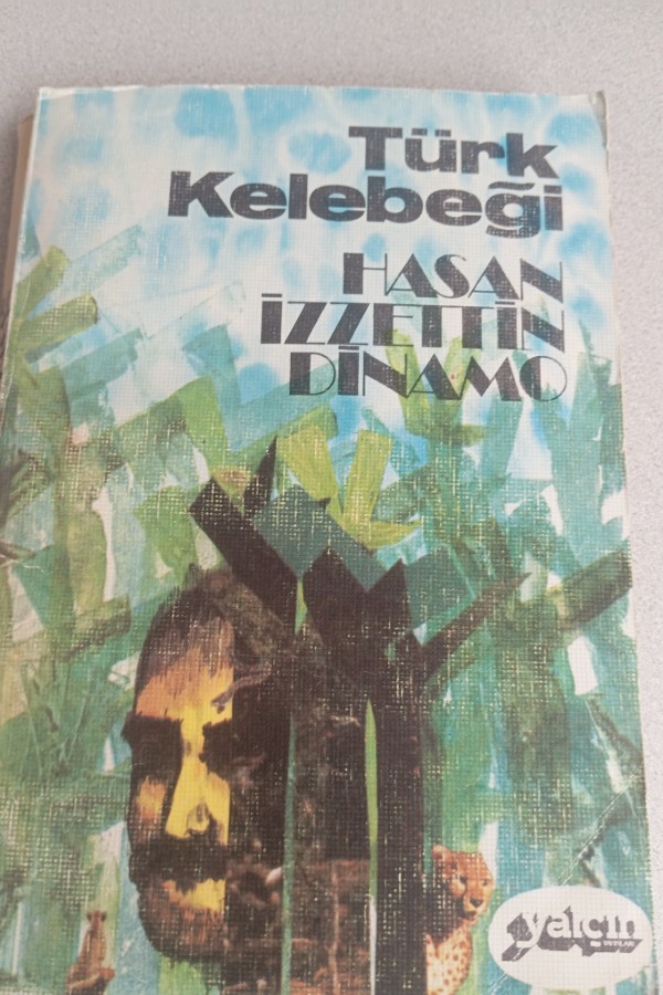 TÜRK KELEBEĞI