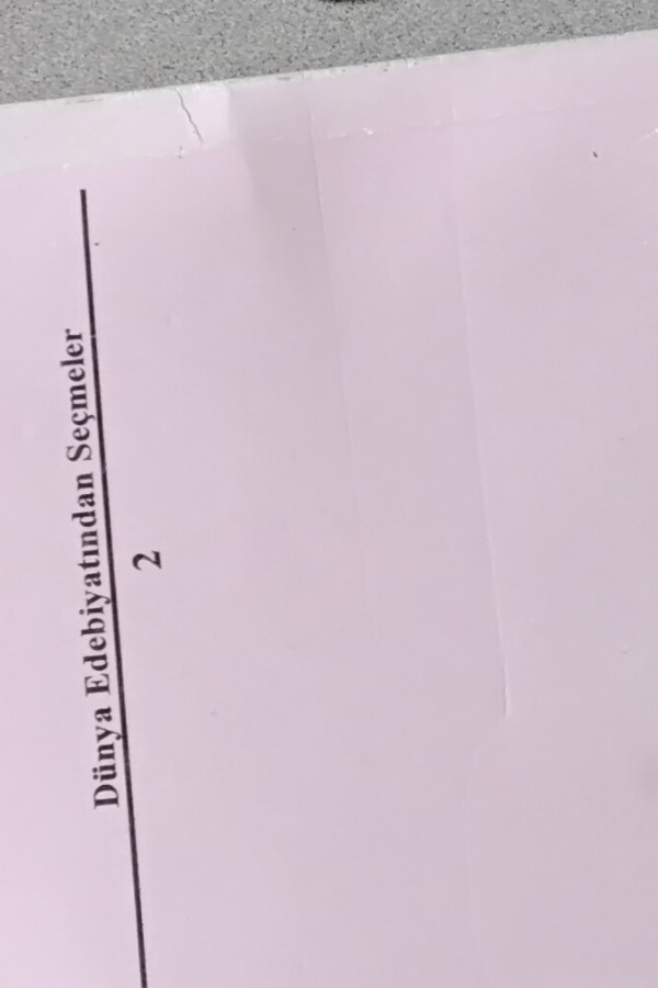 KARAMAZOV KARDEŞLER 4