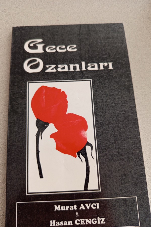 GECE OZANLARI