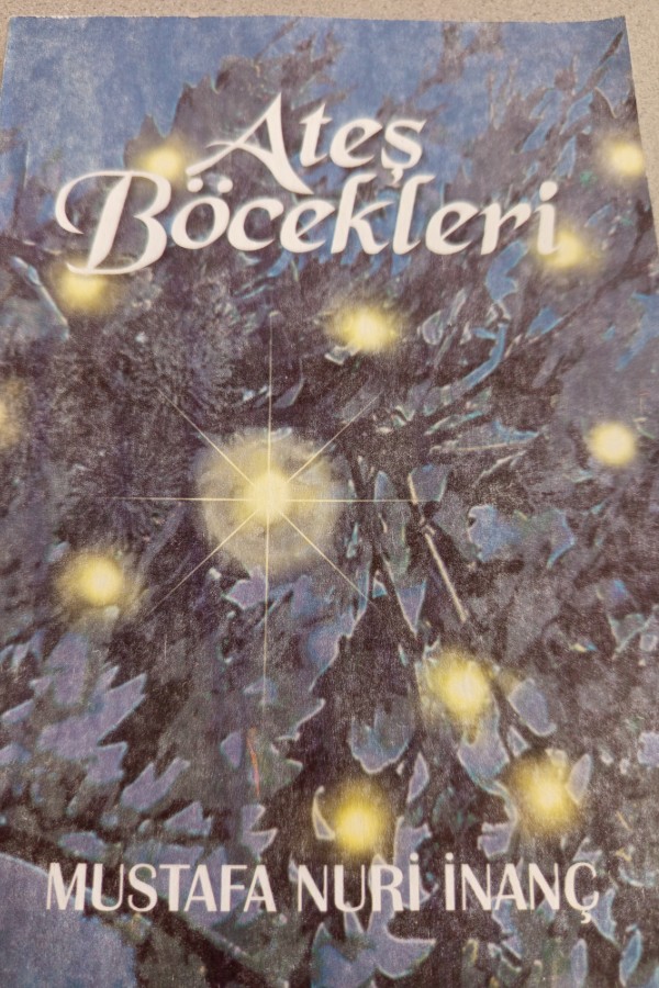 ATEŞ BÖCEKLERI