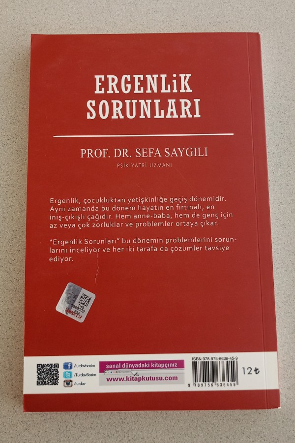 ERGENLIK SORUNLARI