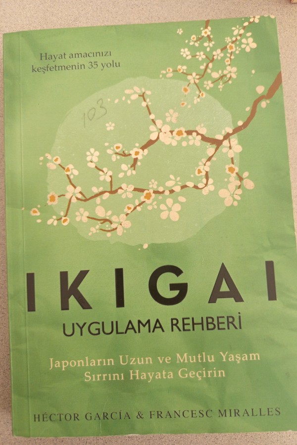 IKIGAI UYGULAMA REHBERI